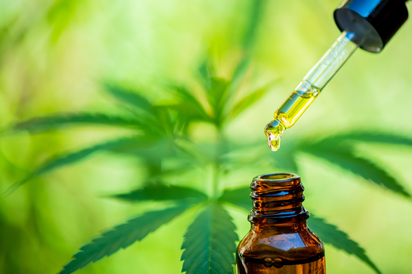 CBD and Epilepsy: Can It Help, and is it Available on the NHS?
