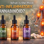 What Is the Most Anti-Inflammatory Cannabinoid?
