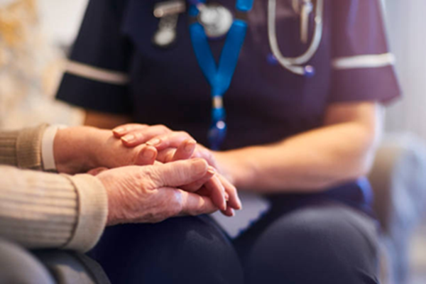 cannabis for palliative care