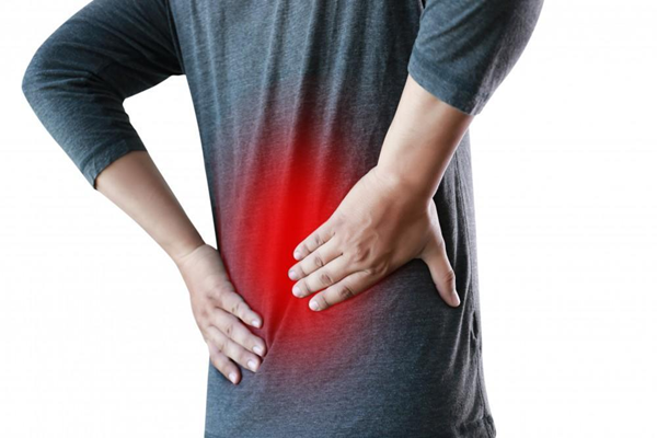 cannabis strains for herniated disc pain