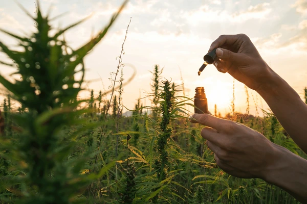 Can CBD Improve Mood? Exploring the Science Behind CBD and Depression Relief
