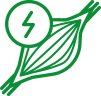 Palliative Care Condition