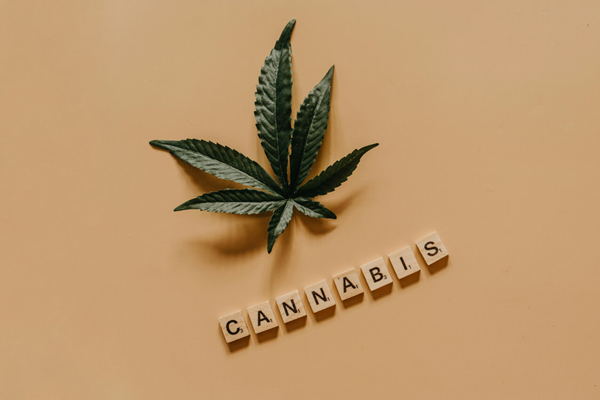 Discovering the Various Names For Cannabis