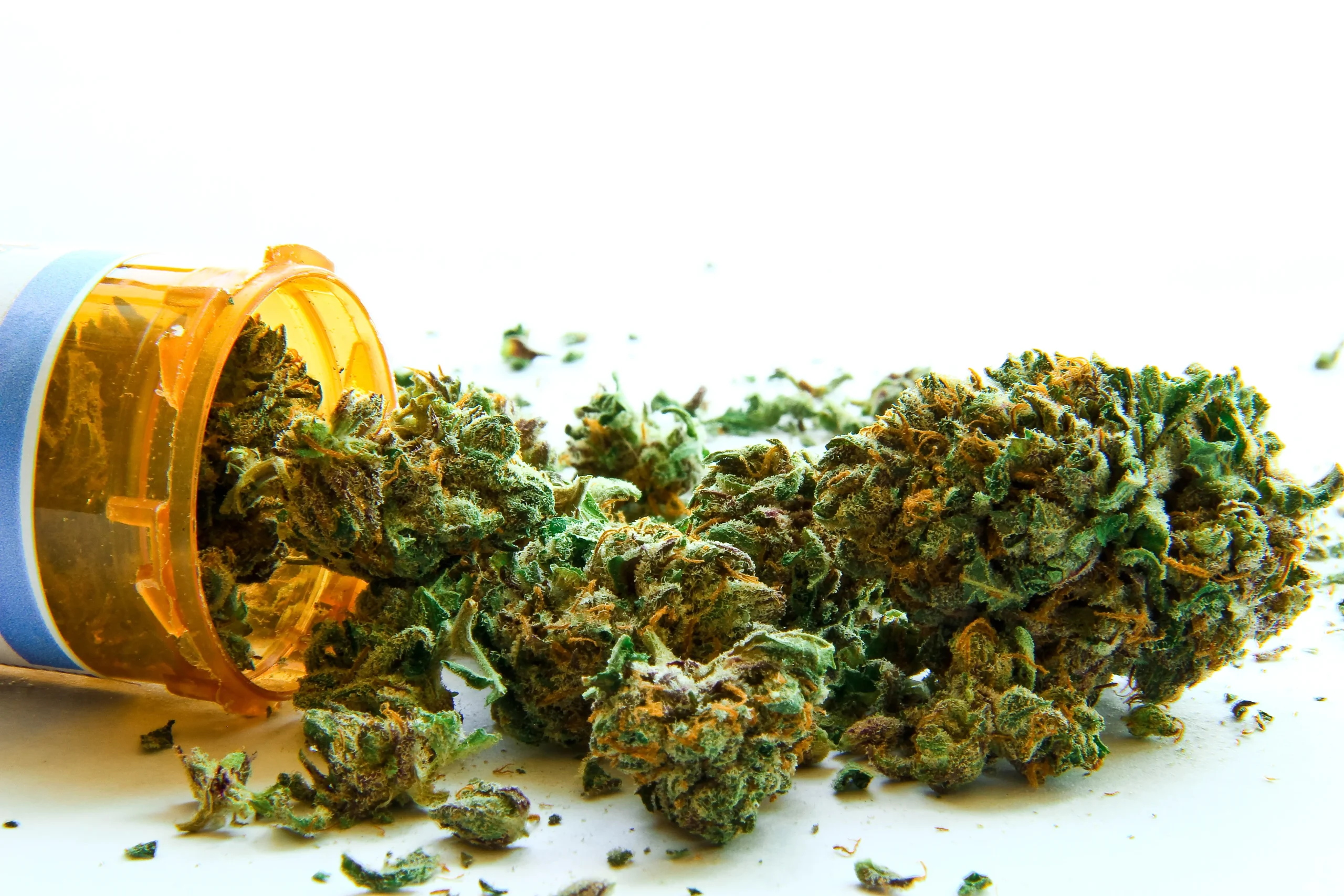 How Long Will Cannabis Stay in Your System?